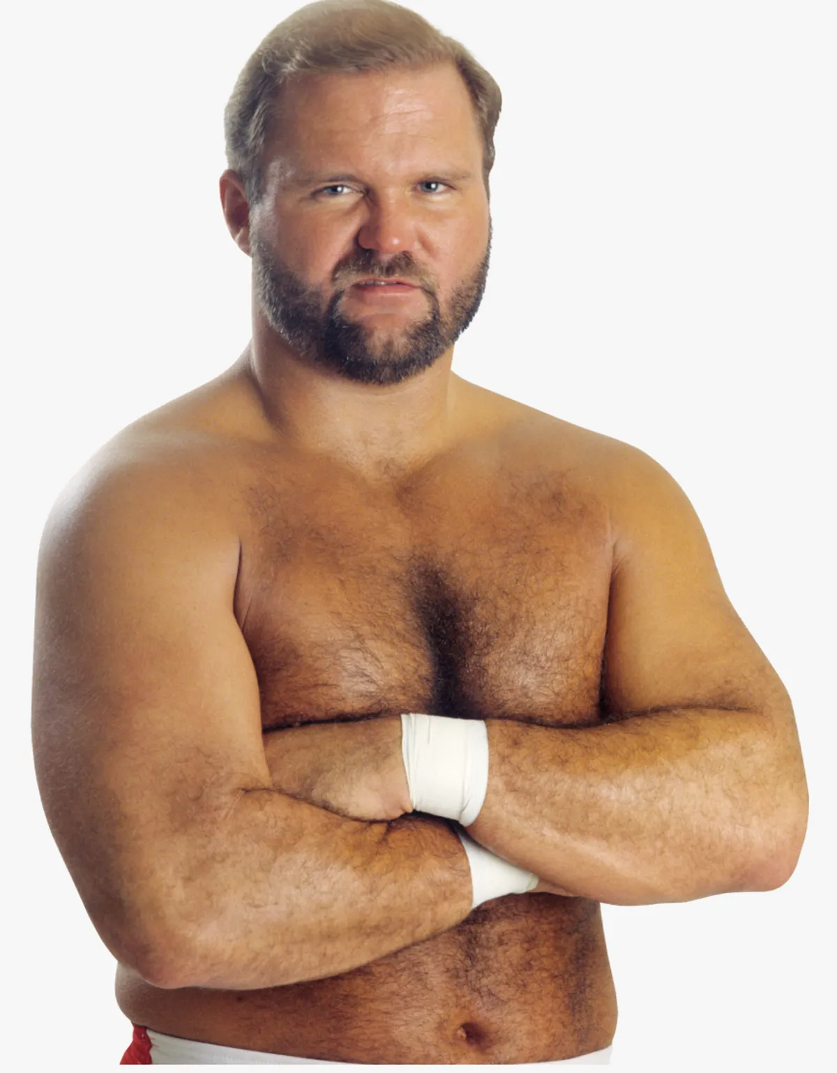 Arn Anderson